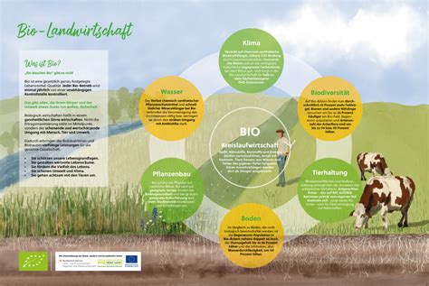 Infografik: So funktioniert die Hebammensuche über Hebavaria