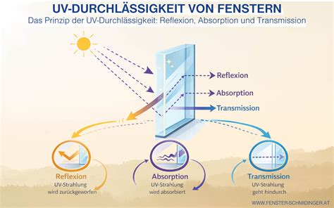 Schema, das die Unterschiede in der UV-Durchlässigkeit der Augen von Säuglingen und Erwachsenen darstellt.