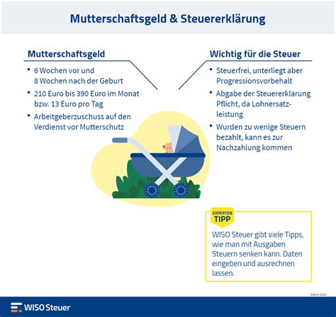 Grafische Darstellung der verschiedenen Anspruchsberechtigten auf Mutterschaftsgeld und deren Leistungen