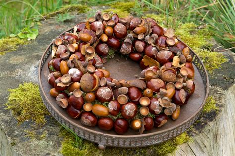 Herbstliche Dekoration aus gesammelten Kastanien und Eicheln