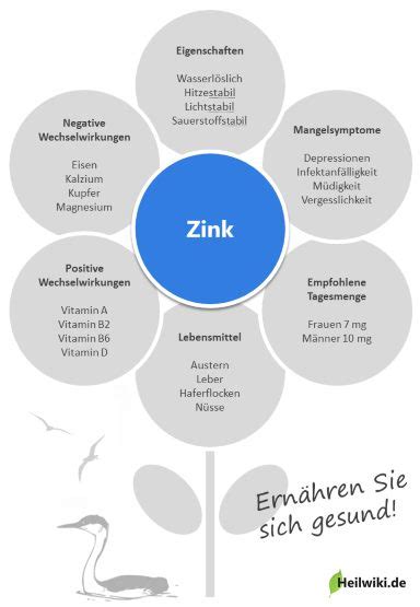 Infografik: Funktionen von Zink im Körper