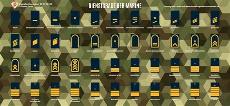 Schema, das die Entwicklung der Tressenbreiten bei Marine-Dienstgradabzeichen im Laufe der Zeit darstellt