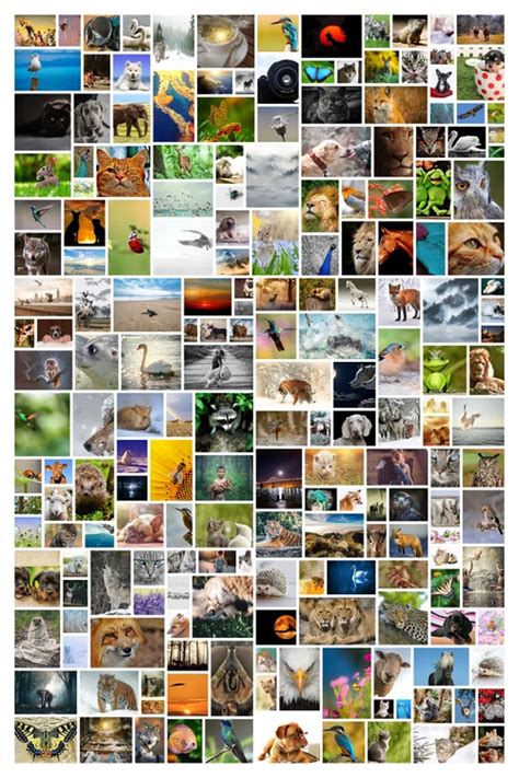 Collage von Fotos mit Babys und Oster-Accessoires