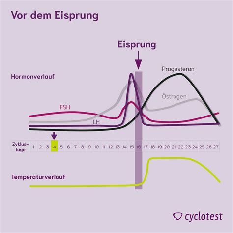 Grafik, die die Hormonspiegel (Östrogen und LH) im Verlauf des weiblichen Zyklus zeigt und die Erkennungszeiträume der verschiedenen Clearblue Tests hervorhebt.