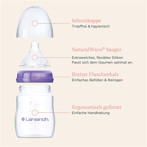 Schnittmodell einer Babyflasche mit Ventilsauger zur Veranschaulichung der Luftzirkulation
