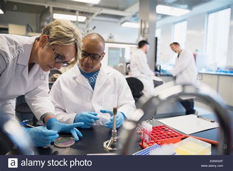 Foto von Kindern, die an einem wissenschaftlichen Experiment teilnehmen