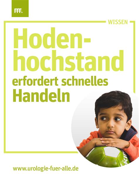 Schema der Hodenentwicklung und möglicher Positionen bei Hodenhochstand