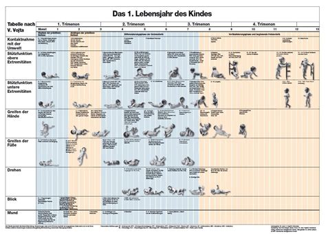 Schema der empfohlenen Beikostschritte im ersten Lebensjahr