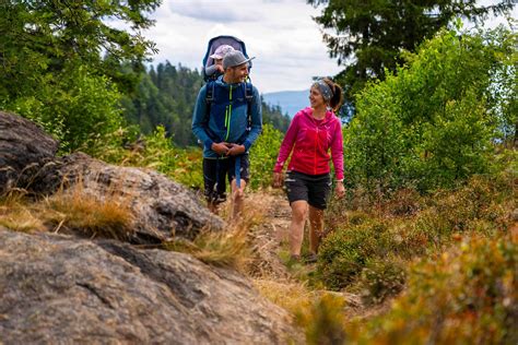 Eine Familie, die mit einer Kindertrage durch einen Wald wandert